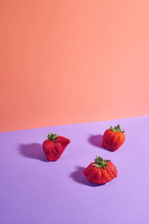 Fresh strawberries on violet and red bicolor backgroundの写真素材