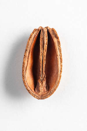 Top view on dried peel of nut on white background