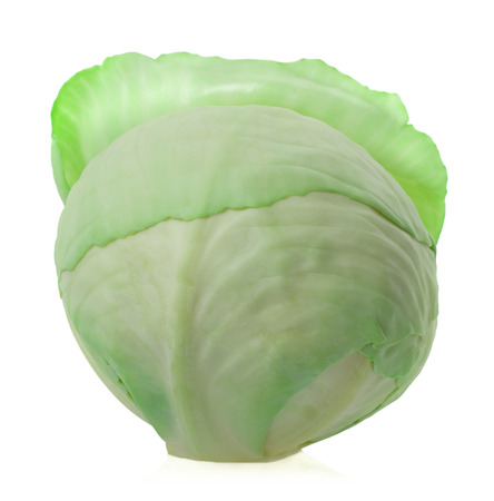 Cabbage on white background.の写真素材