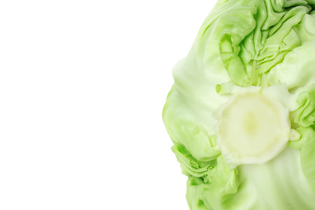 cabbage on the white background.の写真素材