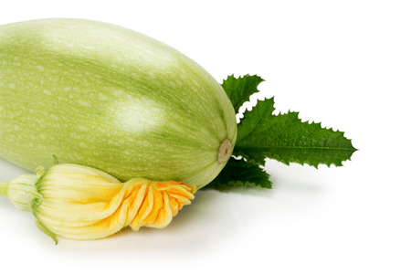 ripe zucchini with its flower on the white background.の写真素材