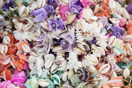 Close-up of colorful seashells on seashore.