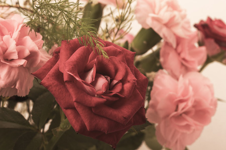 bouquet of red and pink roses isolated on the white background.の写真素材