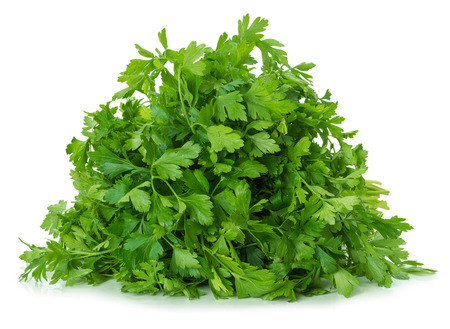 parsley leaves isolated on the white backgroundの写真素材