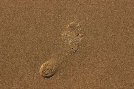 step on the sea sand.の写真素材