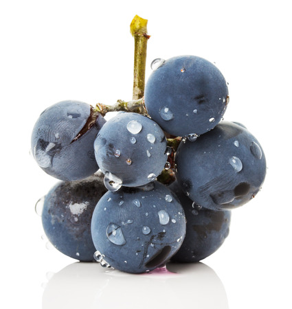 purple grapes on the white background.の写真素材