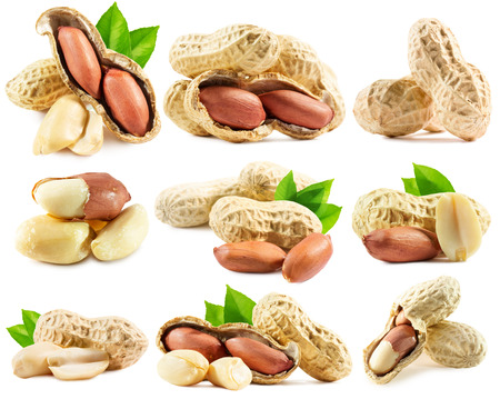 set of peanuts isolated on the white background.
