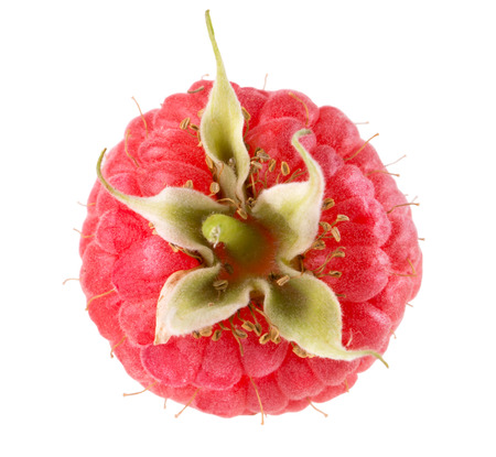raspberry isolated on the white background.