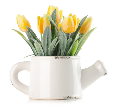 artificial yellow tulips isolated on the white background.の写真素材