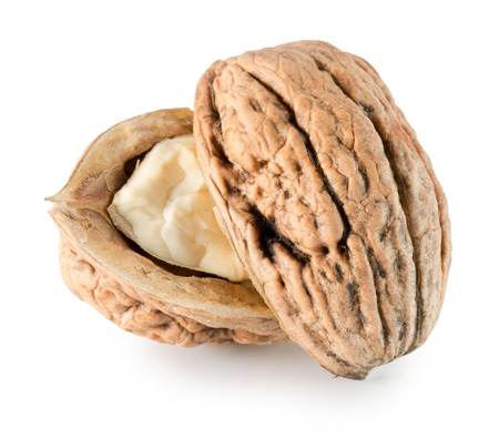 walnut isolated on the white background.