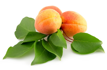 apricots isolated on the white background.の写真素材