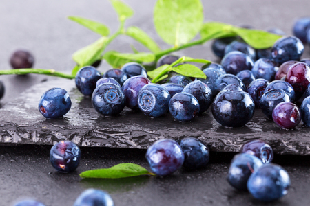 blueberries on a slate table.の写真素材