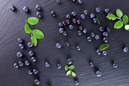 blueberries on a slate table.の写真素材