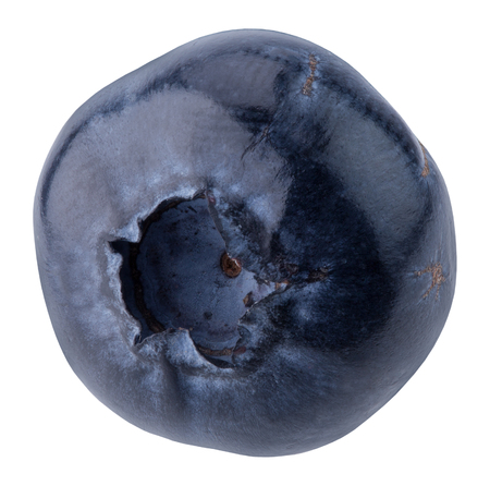 blueberry isolated on the white background.の写真素材