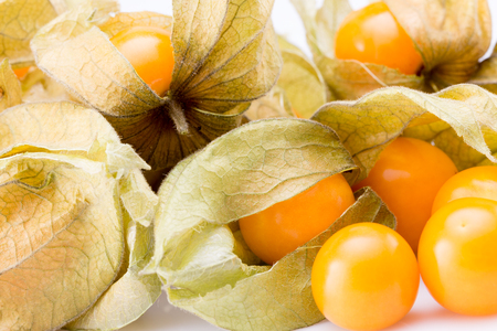 close up of cape gooseberries.の写真素材