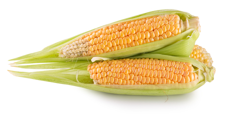 fresh corn isolated on a white background.