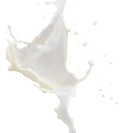 milk splash isolated on a white background.の写真素材