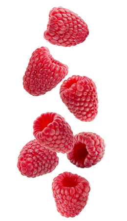 falling raspberries isolated on a white background.の写真素材