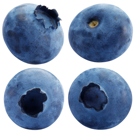 blueberries isolated on a white background.の写真素材