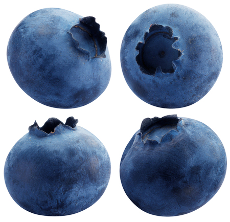 blueberries isolated on a white background.の写真素材