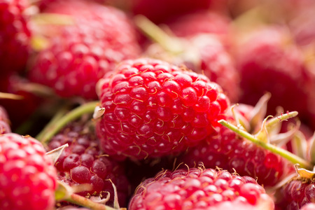 close up of tasty raspberries.