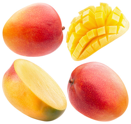 collection of mango isolated on a white background.の写真素材