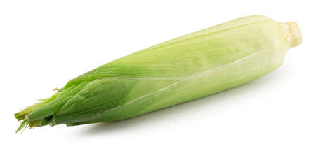 corn ear with husk isolated on a white background.の写真素材