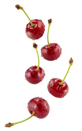 falling sweet cherries isolated on a white background.の写真素材