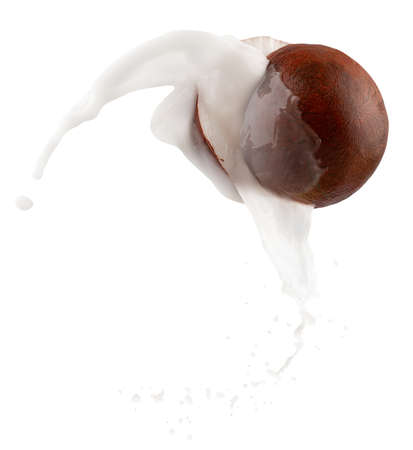 coconut in milk splash isolated on a white background.の写真素材