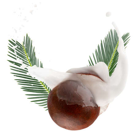 coconut halves with milk splash isolated on a white background.の写真素材