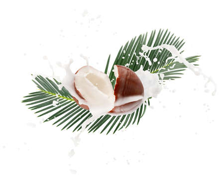 coconuts with milk splash and green leaves isolated on a white background.