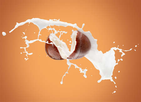 coconuts with milk splash on a yellow background.の写真素材