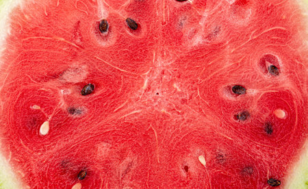 close up of a watermelon.の写真素材