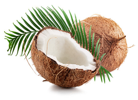 coconuts with palm leaf isolated on a white background. Clipping path.の写真素材