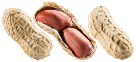 set of the peanuts isolated on a white background.