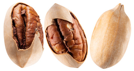 set of pecans isolated on a white background.
