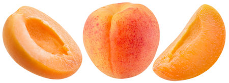 set of apricots isolated on a white background.の写真素材