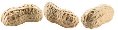 set of peanuts in shell with leaves isolated on a white background.