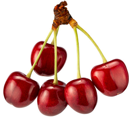 sweet cherries isolated on a white background.の写真素材