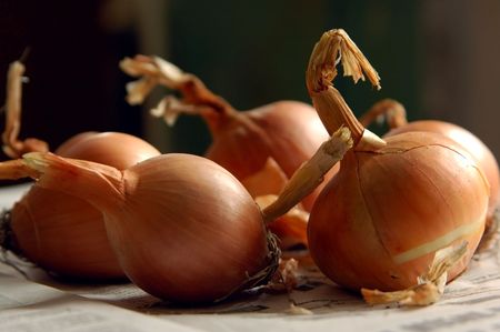 onions on the tableの写真素材