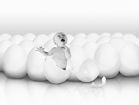 Baby newborn from white eggの写真素材