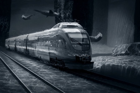 Motions train in underwater ocean lifeの写真素材