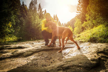 Traveler Man trekker with him dog walk around mountains in sunny day. Backpacker walking in Outdoors. Health care, authenticity, sense of balance and calmness.の写真素材