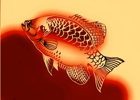 fish,gold fish, Goldfish Pictures,illustration