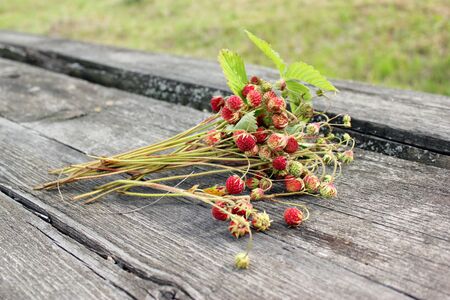 A bouquet of forest strawberries on an old wooden table.の写真素材