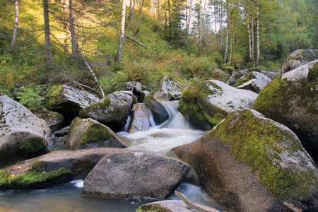 Beautiful mountain river Belokurikha. Altai region. Russia The Belokurikha River flows in the Smolensk region of the Altai Territory through a mountain gorge. A very popular tourist destination.の写真素材