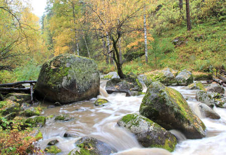 Stormy waters of the mountain river Belokurikha. Russia. The Belokurikha River flows in the Smolensk region of the Altai Territory through a mountain gorge. A very popular tourist destination.の写真素材
