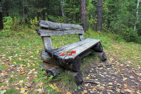 Wooden bench for rest on the terrenkur trail in the Altai Territory. Russiaの写真素材
