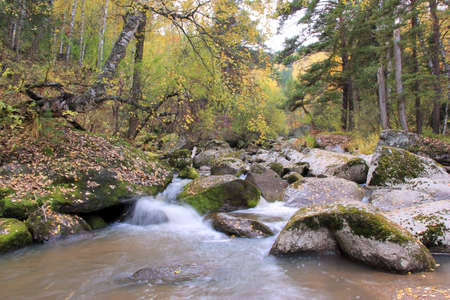 Autumn landscape with a view of the mountain river Belokurikha. Altai region. Russiaの写真素材