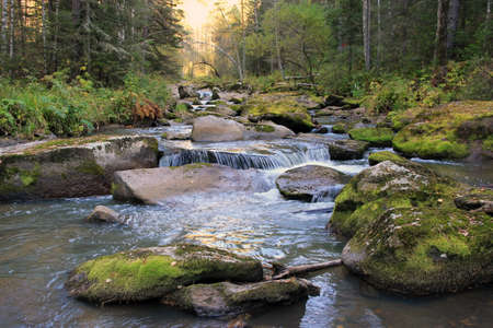 Beautiful mountain river Belokurikha. Altai region. Russia The Belokurikha River flows in the Smolensk region of the Altai Territory through a mountain gorge. A very popular tourist destination.の写真素材